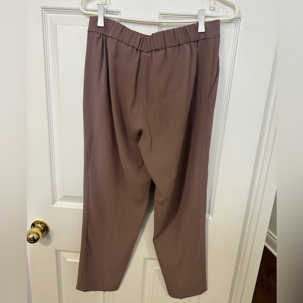 Aritzia Conan Pant